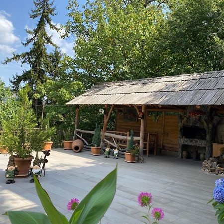 Anano'S Guesthouse بورجومي المظهر الخارجي الصورة