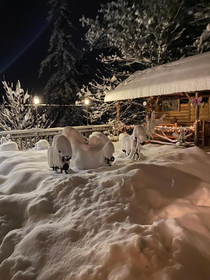 Anano'S Guesthouse بورجومي المظهر الخارجي الصورة