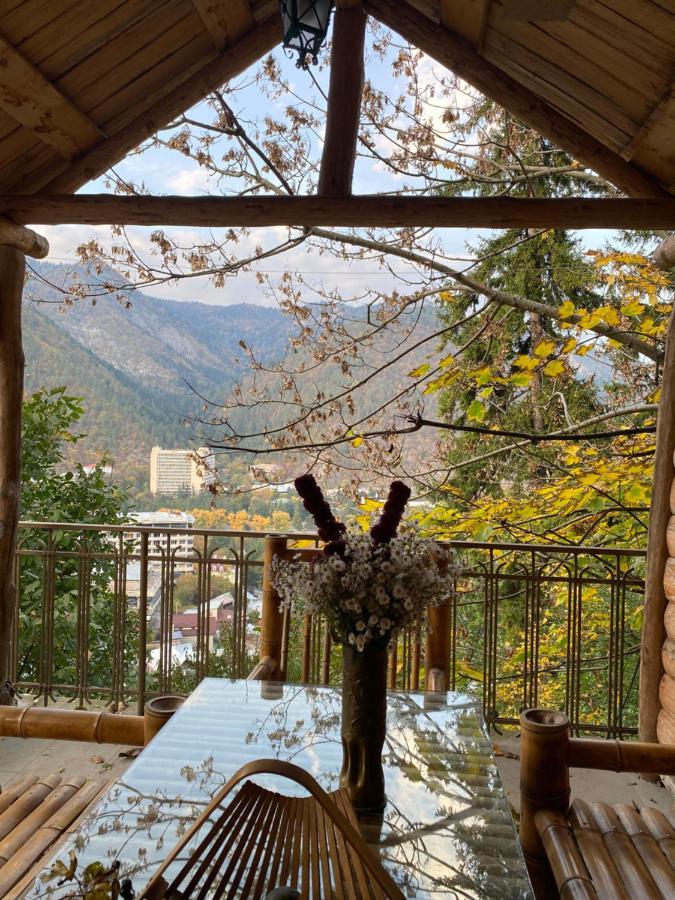 Anano'S Guesthouse بورجومي المظهر الخارجي الصورة