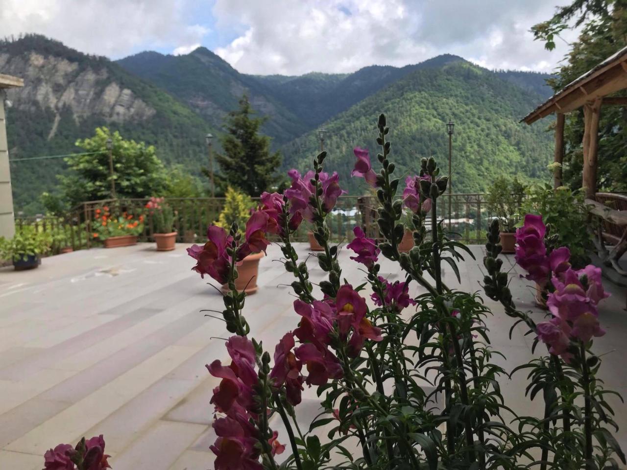 Anano'S Guesthouse بورجومي المظهر الخارجي الصورة