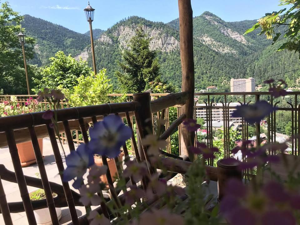 Anano'S Guesthouse بورجومي المظهر الخارجي الصورة